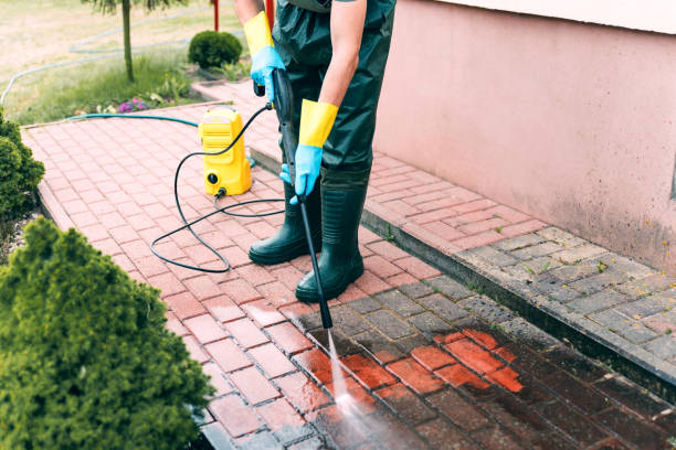 Best Roof Washing  in Janesville, CA